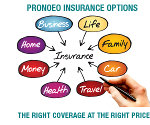 Proneo Insurance Options