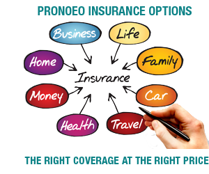 Proneo Insurance Options